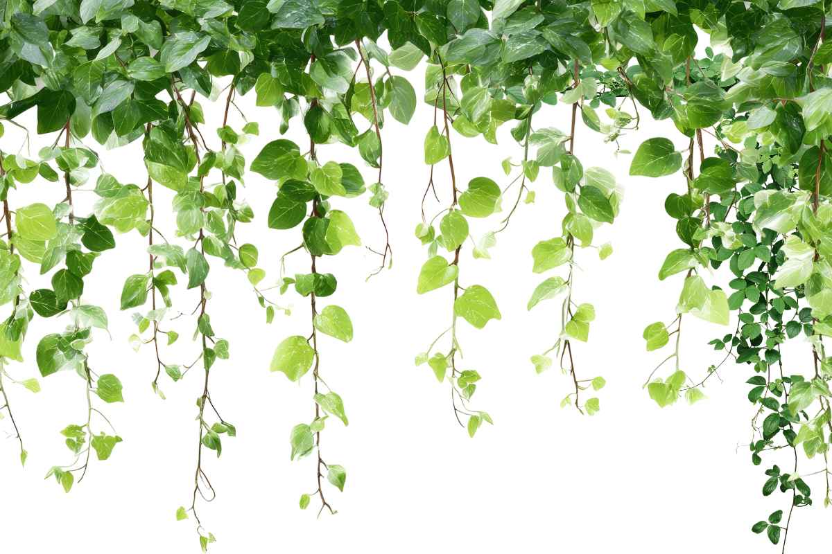 greenery-is-also-part-of-30-christmas-table-decoration-ideas